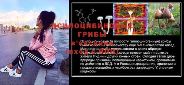 мяу мяу мука Абдулино