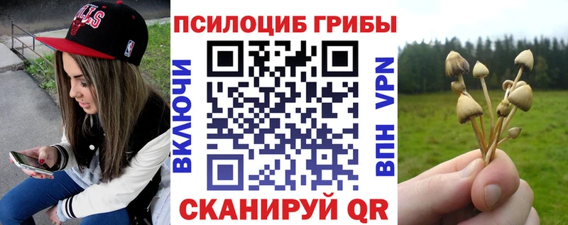 Псилоцибиновые грибы Psilocybe  Ладушкин 